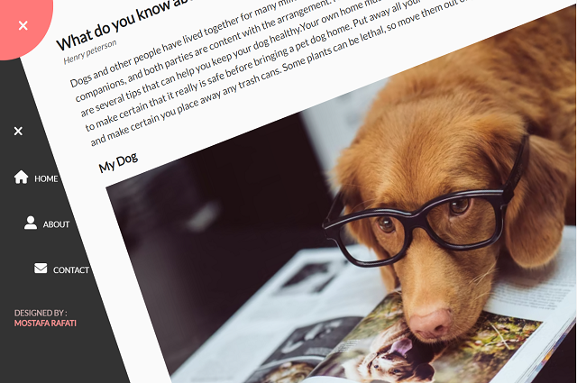 portfolio img